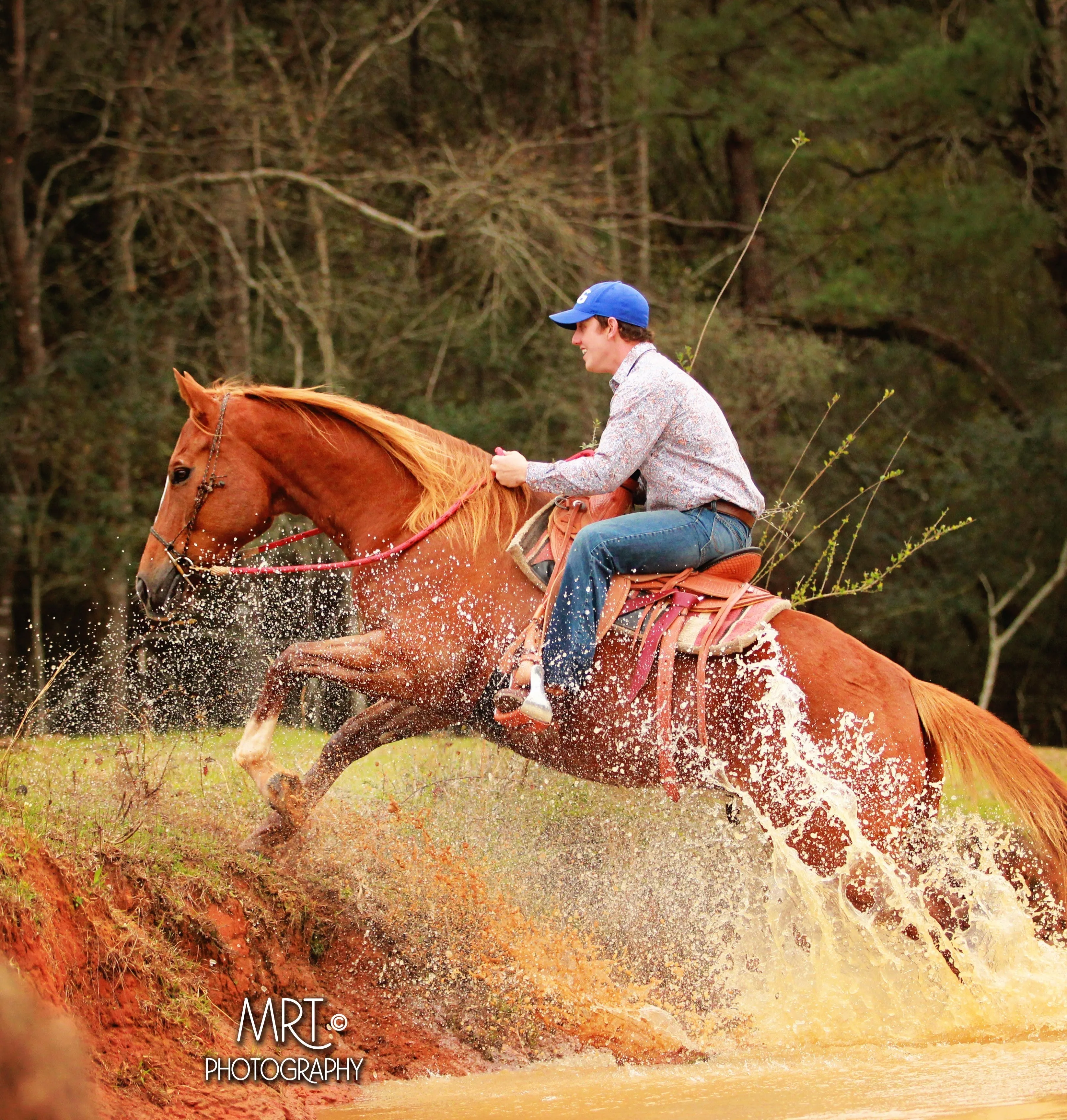 60% Off 1 Month Of Horse Training