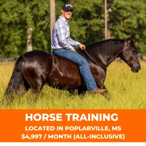 60% Off 1 Month Of Horse Training